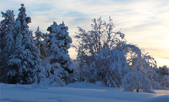 Winter in Jokkmokk, northern Sweden