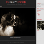 Gallery template screenshot Gallery template screenshot