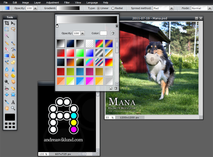 Review: Pixlr Editor, the free online photo editor | andreasviklund ...