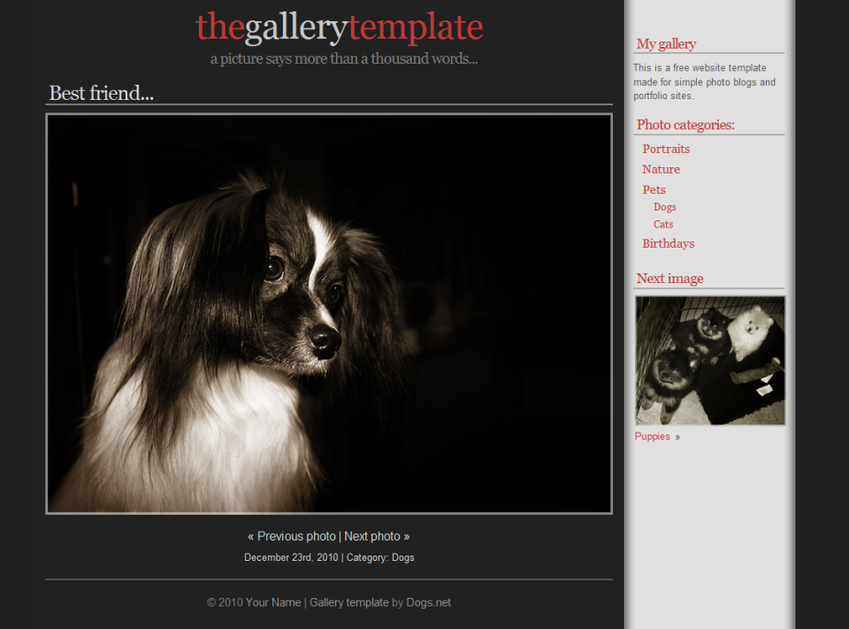 Gallery, a simple photoblog template designed by Dogs.net for andreasviklund.com.